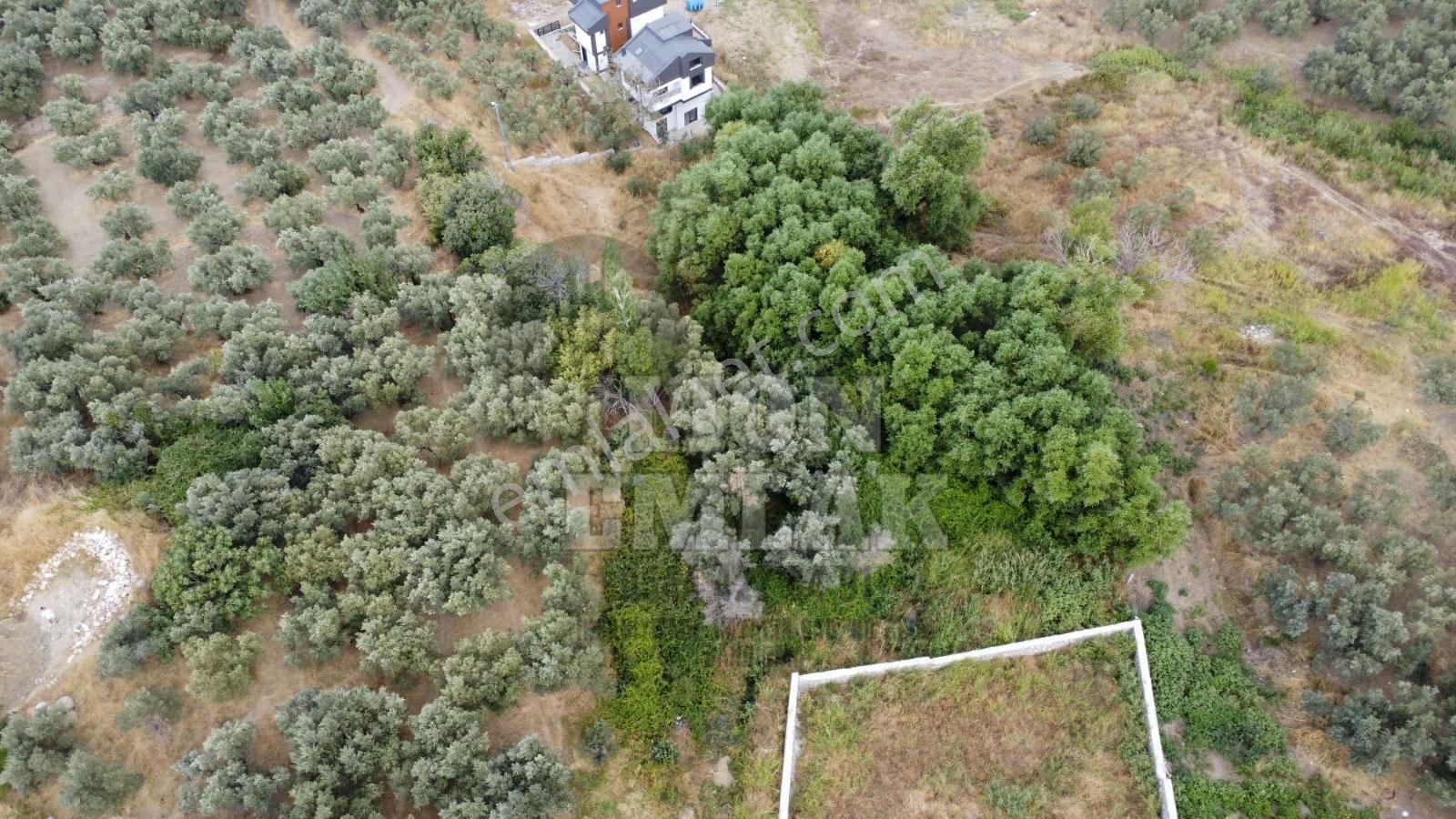 Lıon Emlak'tan Ocaklar Mahallesinde 331 M² İmarlı Arsa — fotoğraf 6