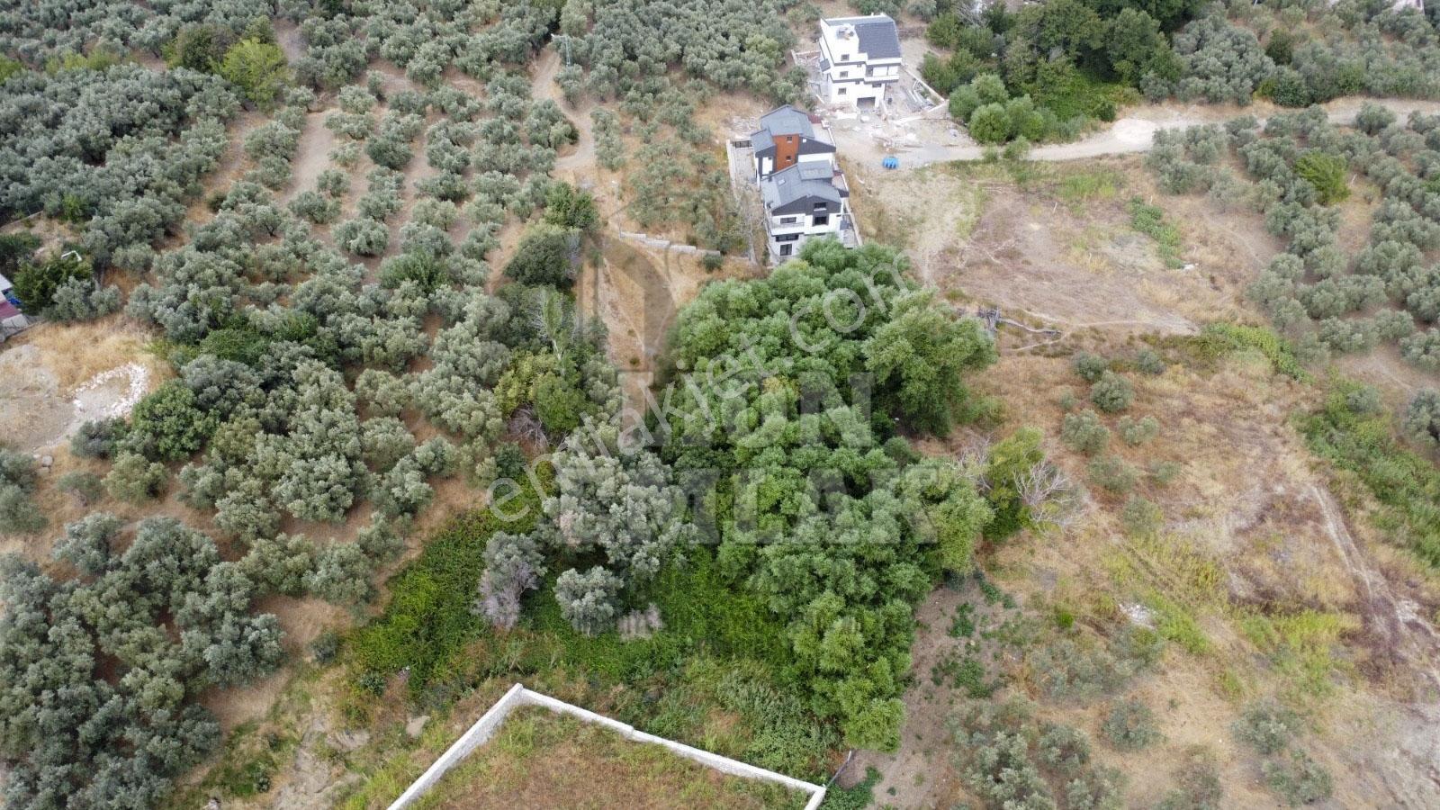 Lıon Emlak'tan Ocaklar Mahallesinde 331 M² İmarlı Arsa — fotoğraf 9