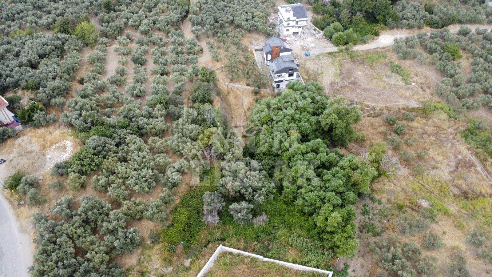 Lıon Emlak'tan Ocaklar Mahallesinde 331 M² İmarlı Arsa — fotoğraf 32