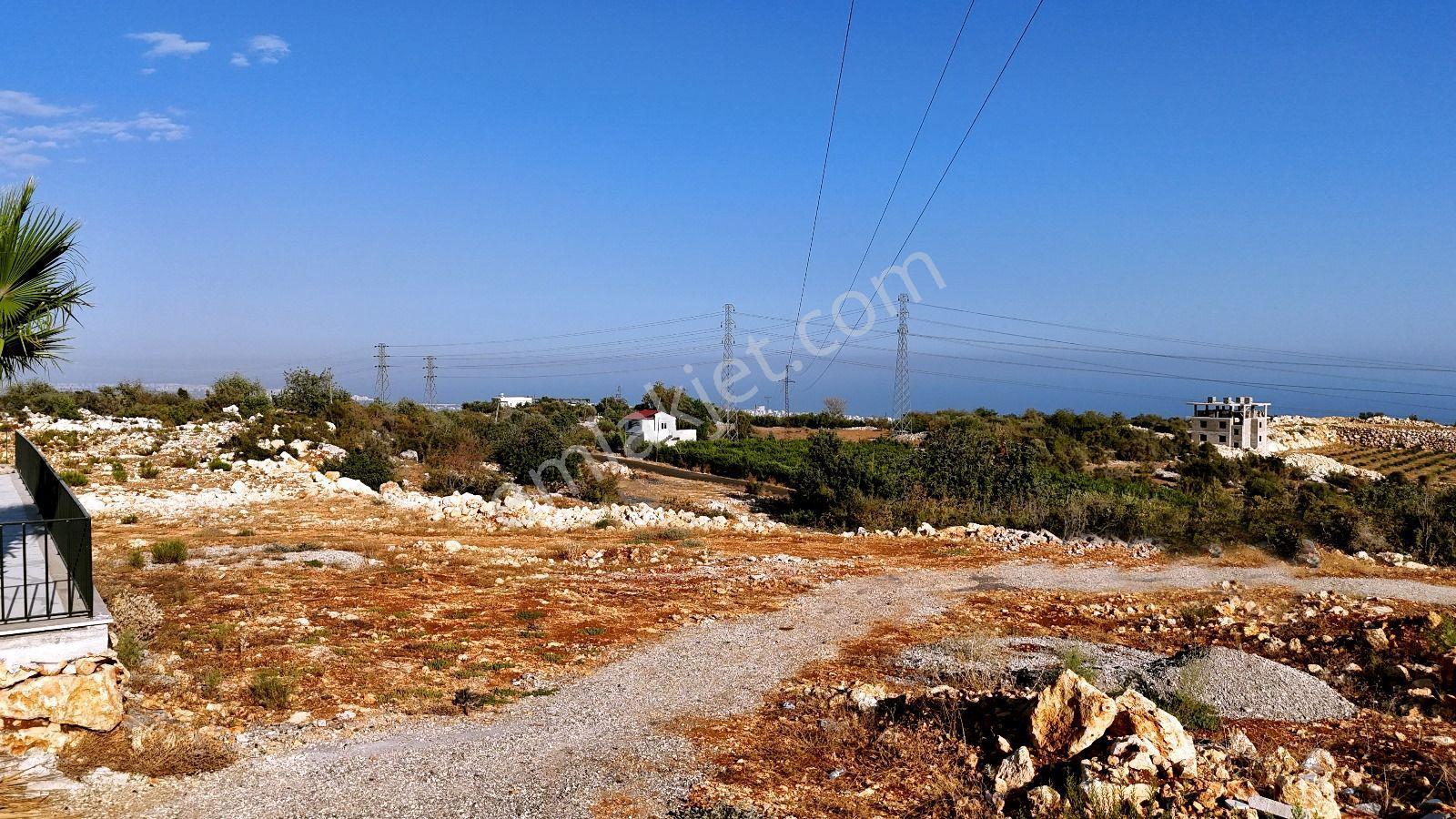 Erdemli Koyuncu Mahallesin De 458 M2 Arsa — fotoğraf 8