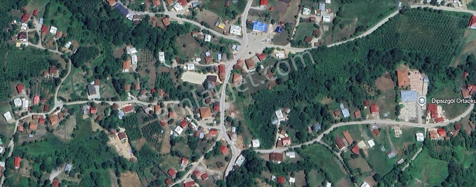 Düzce Kaynaşlı Dipsizgöl Köy Yatırımlık & Verimli Fındık Bahçesi