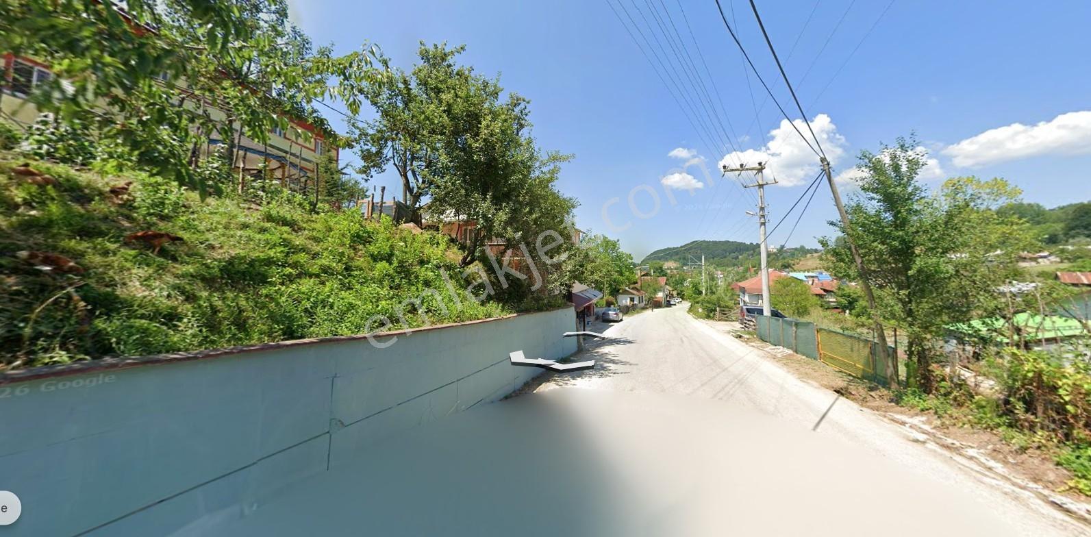 Düzce Kaynaşlı Dipsizgöl Köy Yatırımlık & Verimli Fındık Bahçesi — fotoğraf 5
