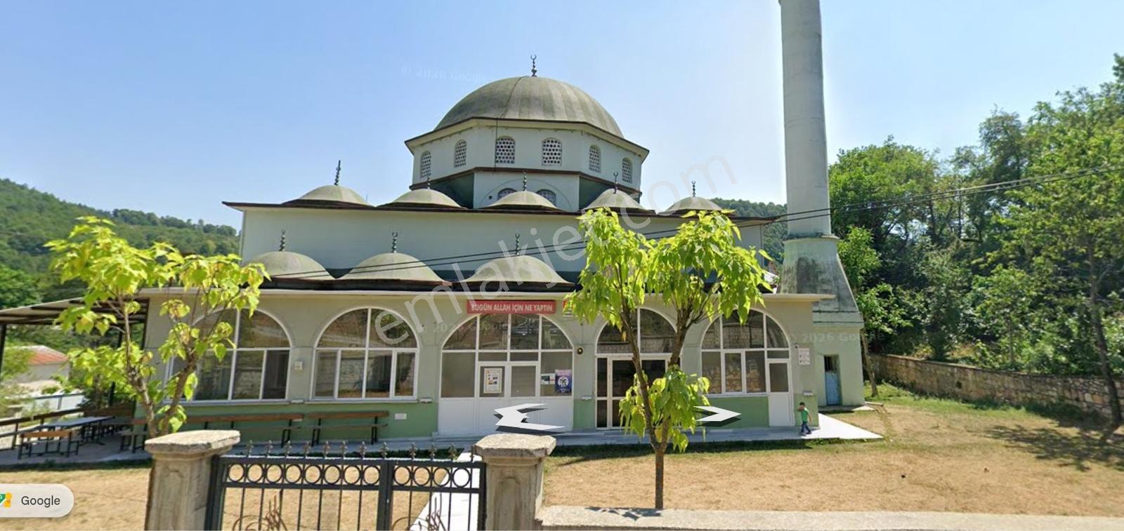 Düzce Kaynaşlı Dipsizgöl Köy Yatırımlık & Verimli Fındık Bahçesi — fotoğraf 7