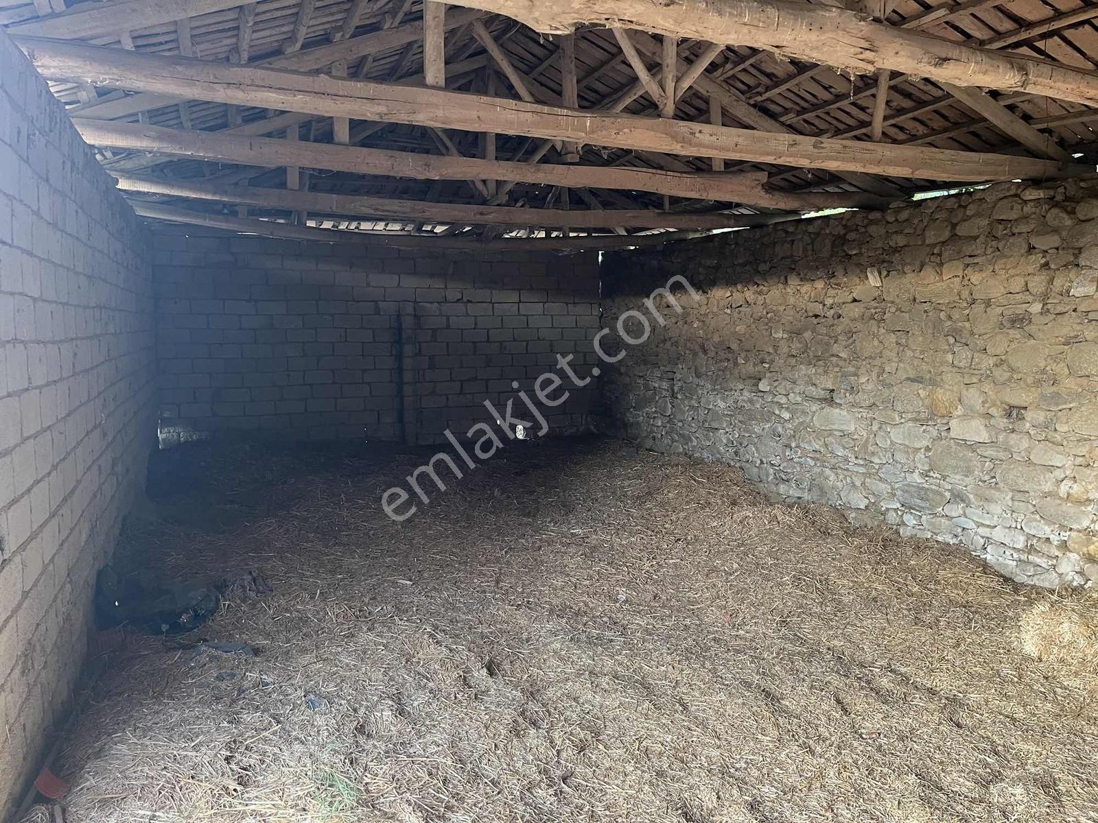 Miray Emlaktan Esenköyde (arpazda)satılık Zeytinlik — fotoğraf 17