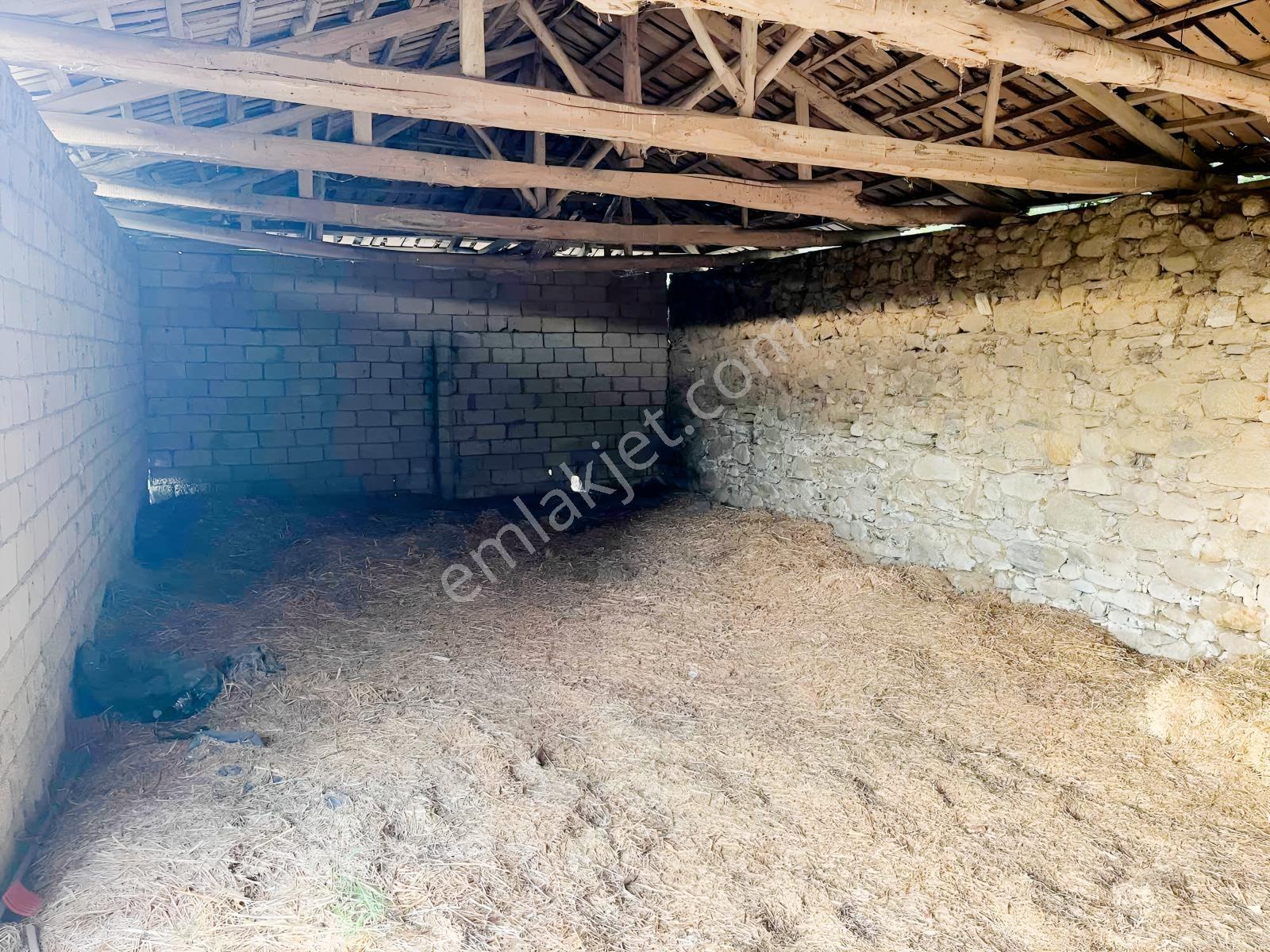 Miray Emlaktan Esenköyde (arpazda)satılık Zeytinlik — fotoğraf 18