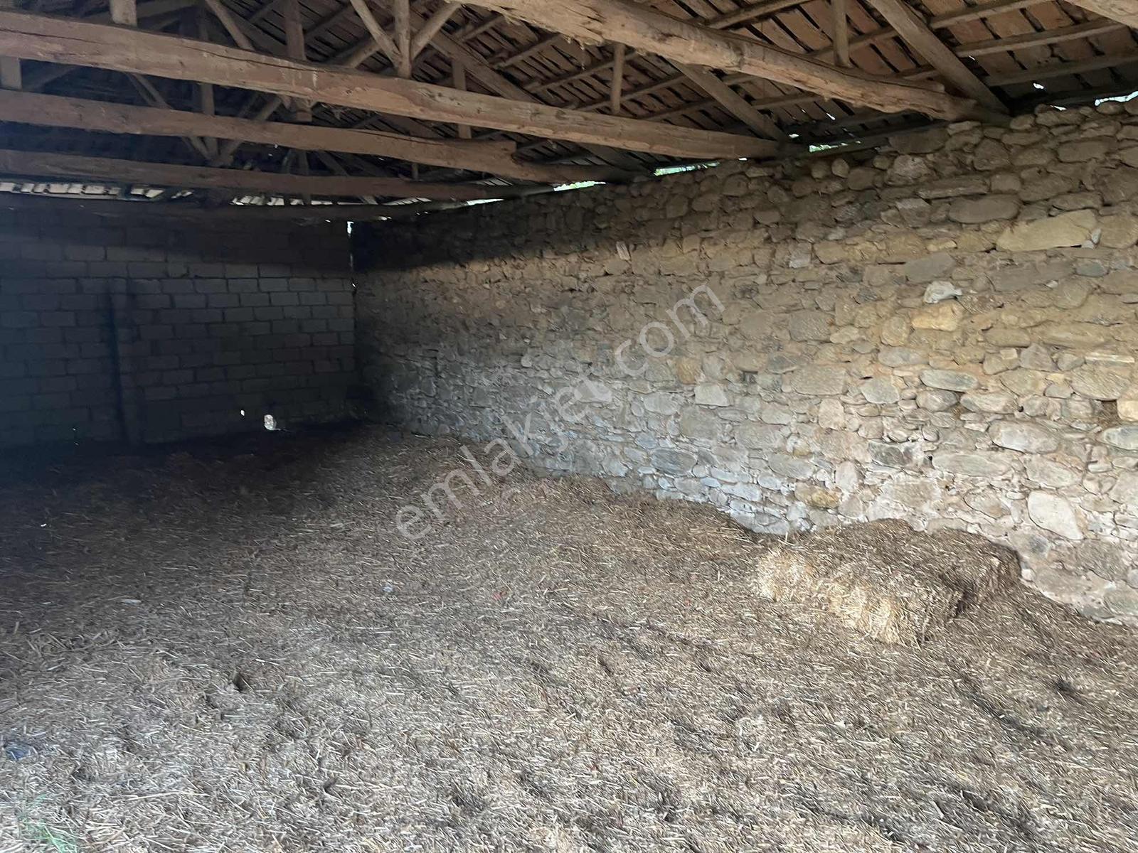 Miray Emlaktan Esenköyde (arpazda)satılık Zeytinlik — fotoğraf 19
