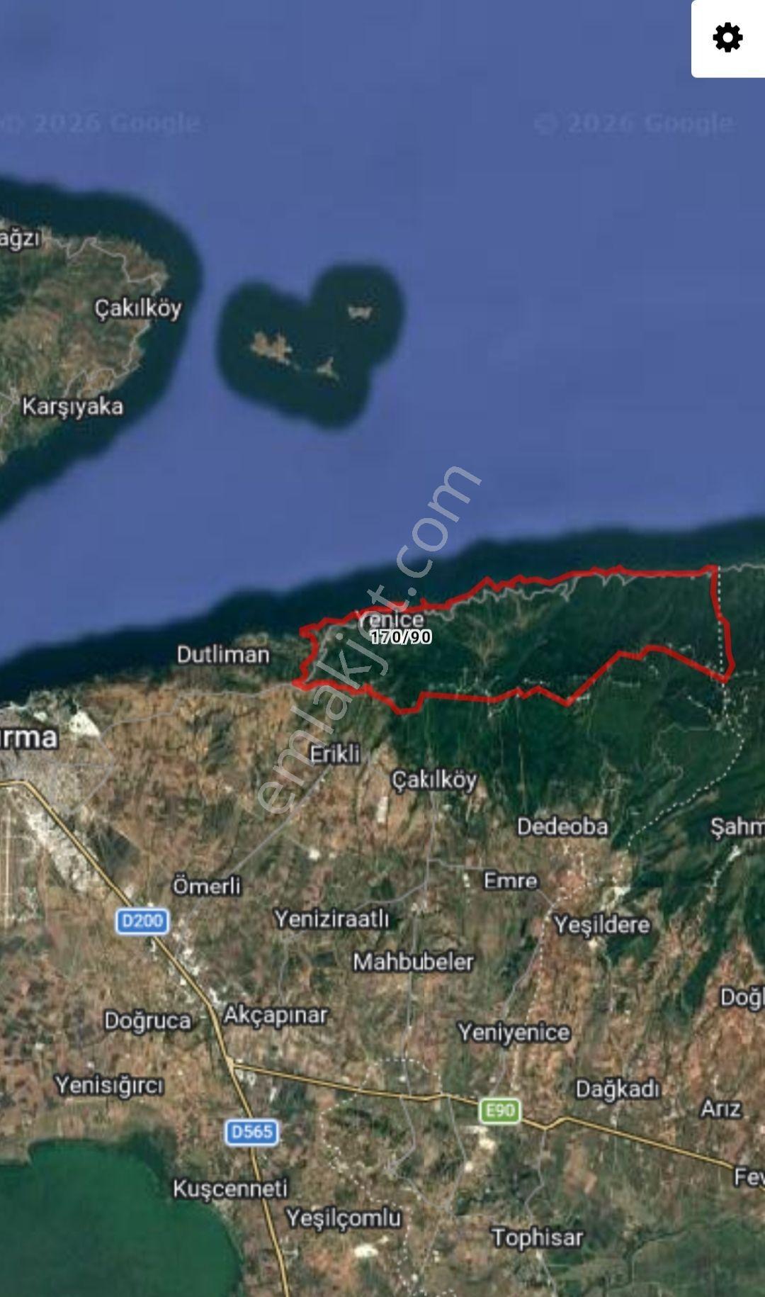 Bandırma Sahil Yenice Deniz Manzaralı 2423,M2 Zeytinlik