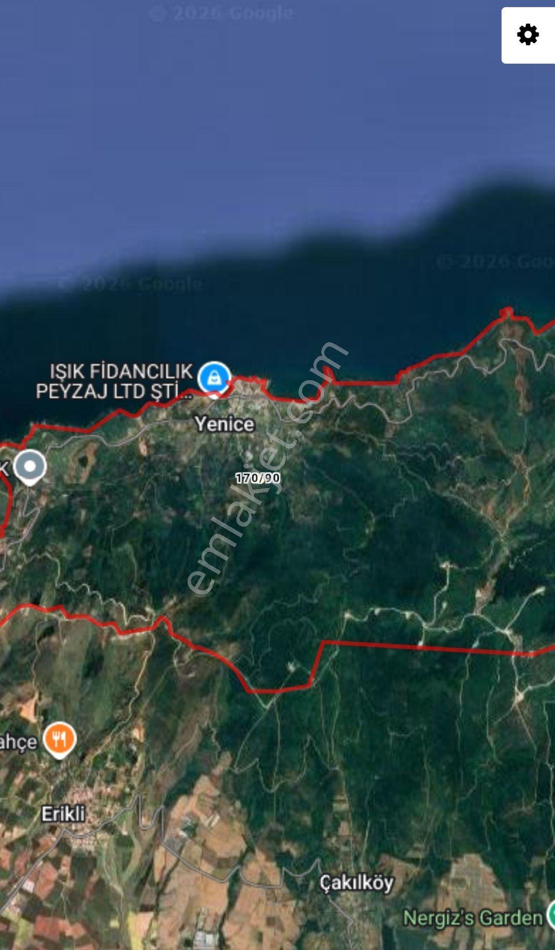 Bandırma Sahil Yenice Deniz Manzaralı 2423,m2 Zeytinlik — fotoğraf 2