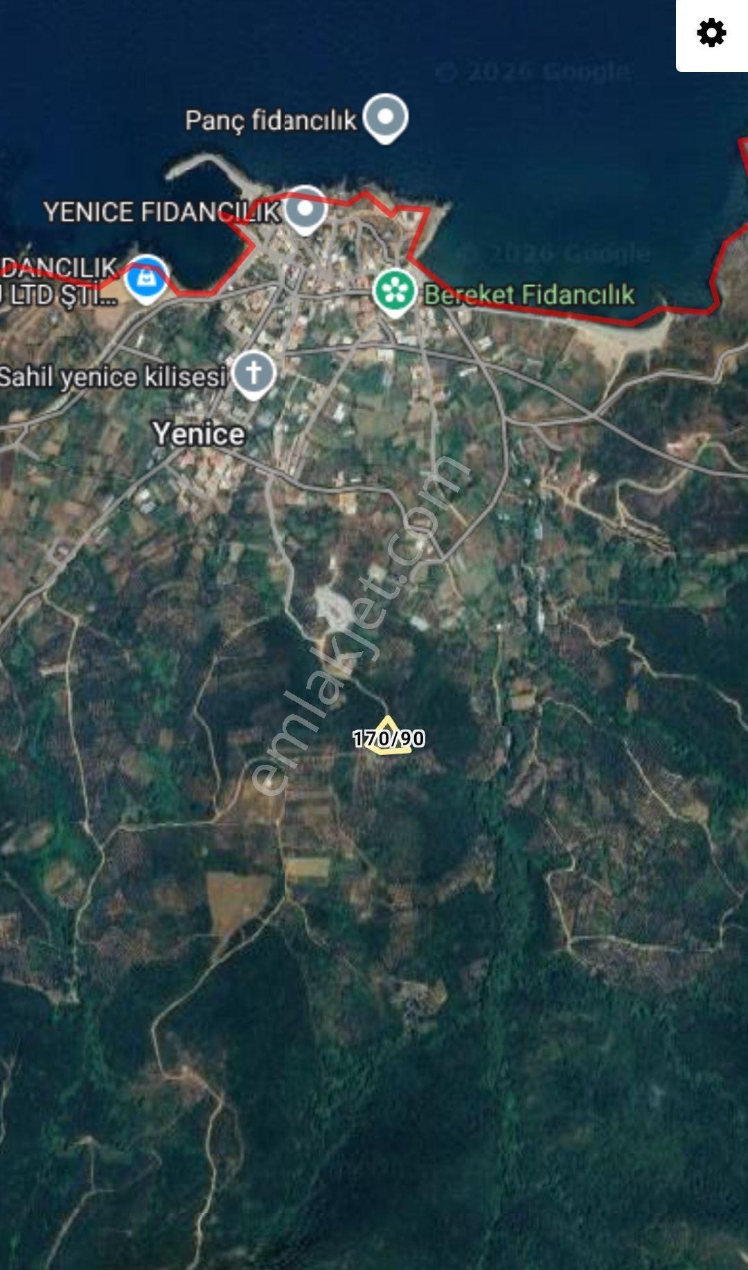 Bandırma Sahil Yenice Deniz Manzaralı 2423,m2 Zeytinlik — fotoğraf 3