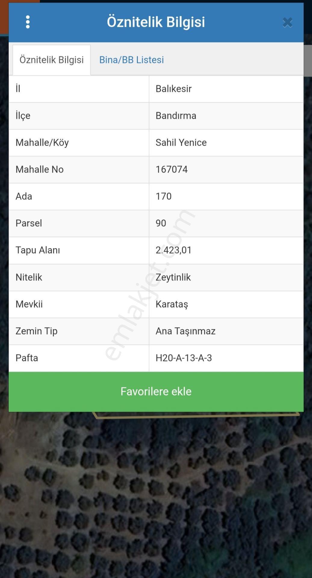Bandırma Sahil Yenice Deniz Manzaralı 2423,m2 Zeytinlik — fotoğraf 8