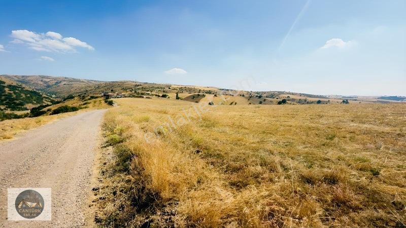Akyurt Samutta 26.9 Dönüm Tek Tapu Arsa