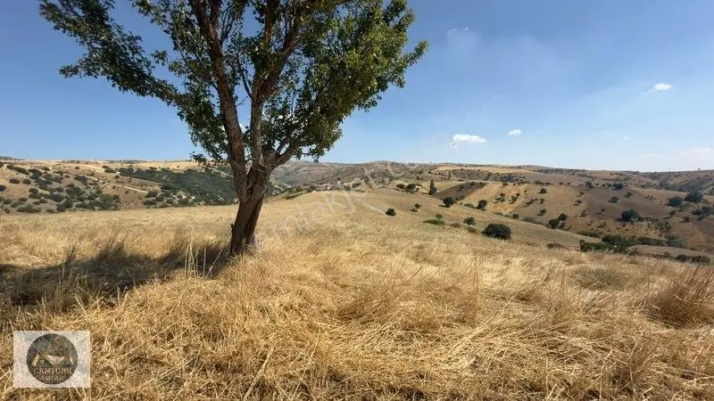 Akyurt Samutta 26.9 Dönüm Tek Tapu Arsa — fotoğraf 9