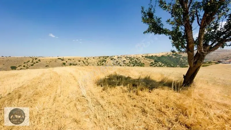 Akyurt Samutta 26.9 Dönüm Tek Tapu Arsa — fotoğraf 13
