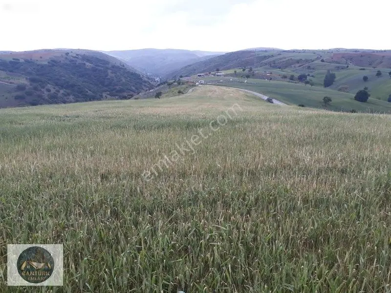 Akyurt Samutta 26.9 Dönüm Tek Tapu Arsa — fotoğraf 15