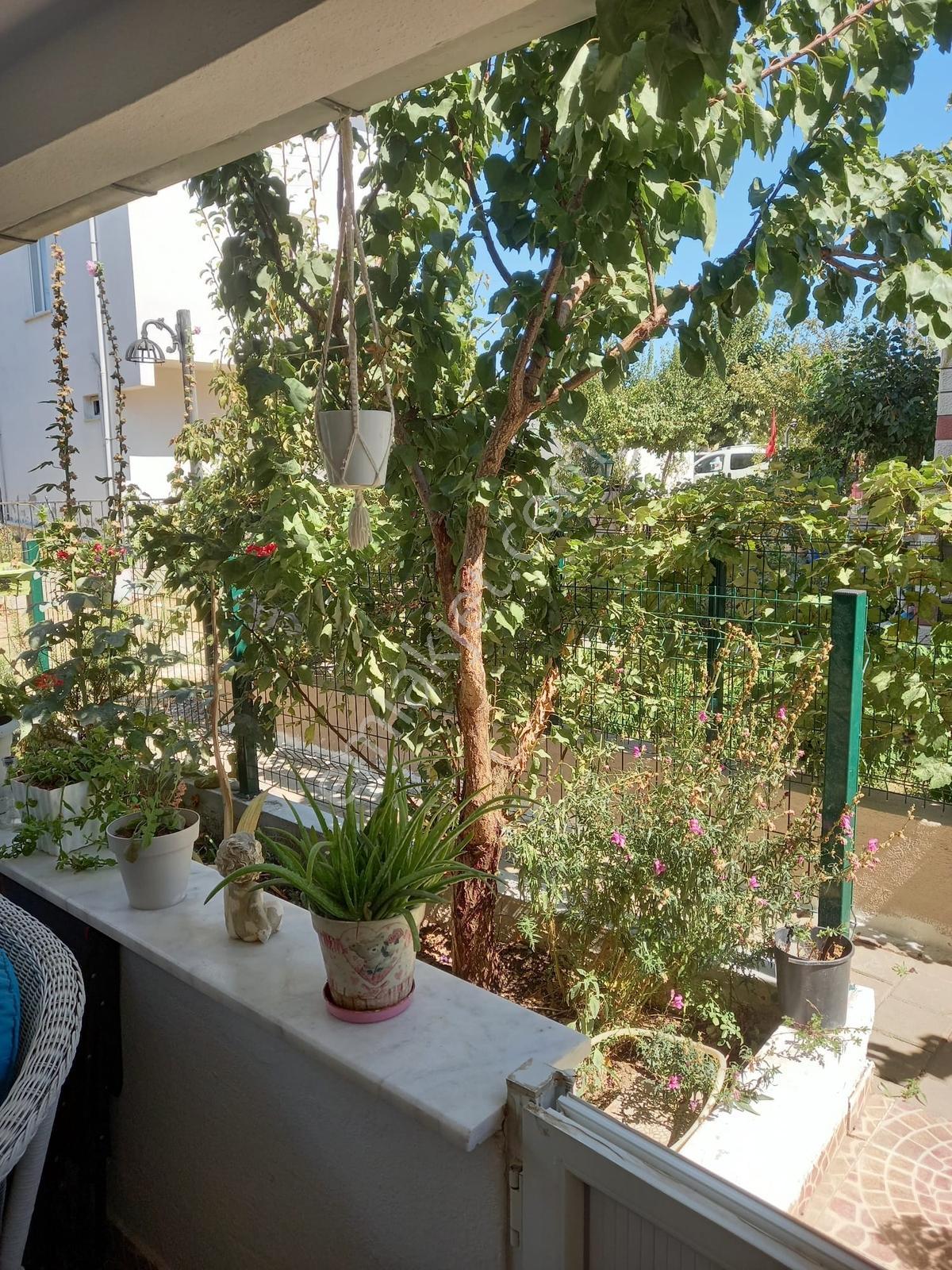 Tekirdağ Şarköy Kızılcaterzi Mah.de Giriş Kat 1+1 Daire Satılık! — fotoğraf 12