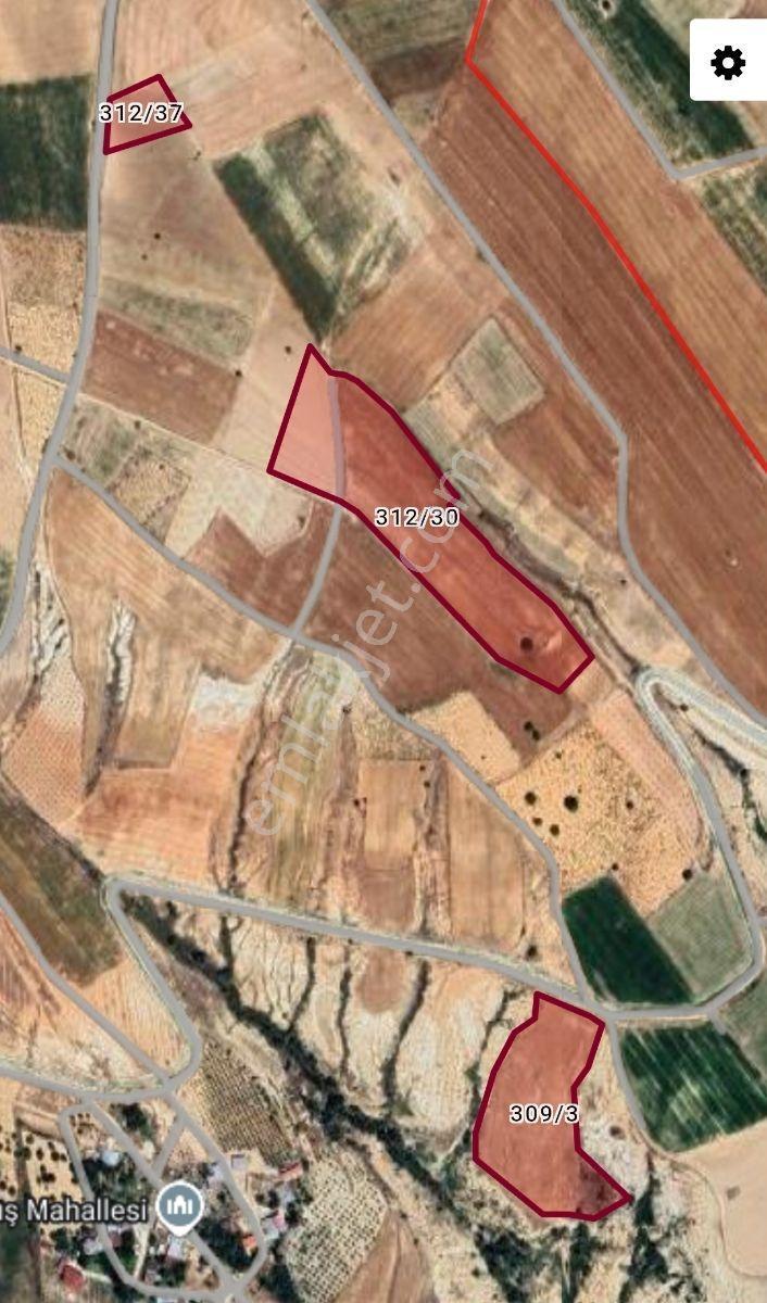 Yıldırım Emlakta Darende Günpınarda Satılık 24.764 M2 Sulu Tarla — fotoğraf 2