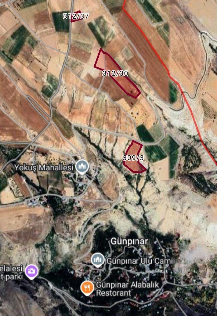 Yıldırım Emlakta Darende Günpınarda Satılık 24.764 M2 Sulu Tarla — fotoğraf 3