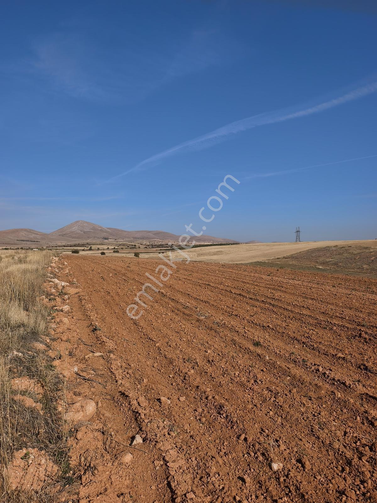 Yıldırım Emlakta Darende Günpınarda Satılık 24.764 M2 Sulu Tarla — fotoğraf 4