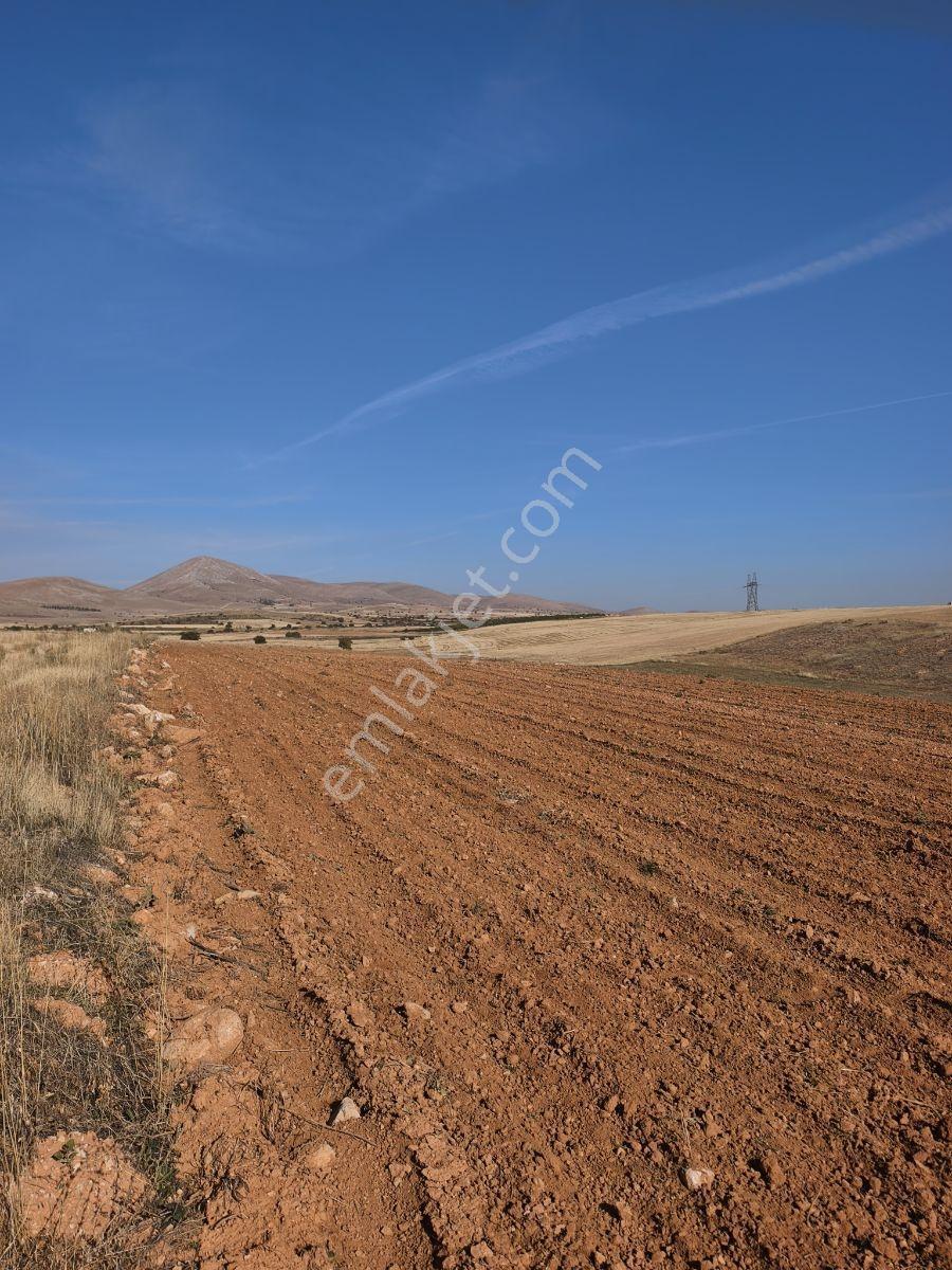 Yıldırım Emlakta Darende Günpınarda Satılık 24.764 M2 Sulu Tarla — fotoğraf 7