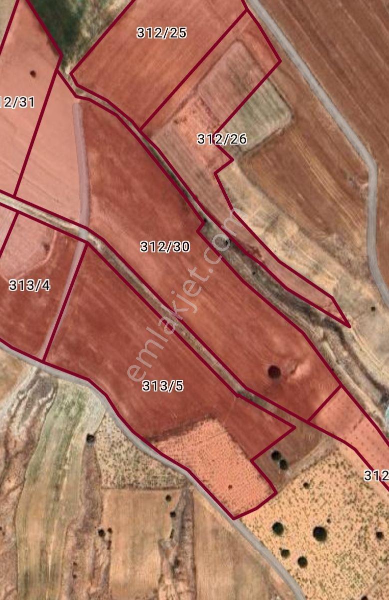 Yıldırım Emlakta Darende Günpınarda Satılık 24.764 M2 Sulu Tarla — fotoğraf 9