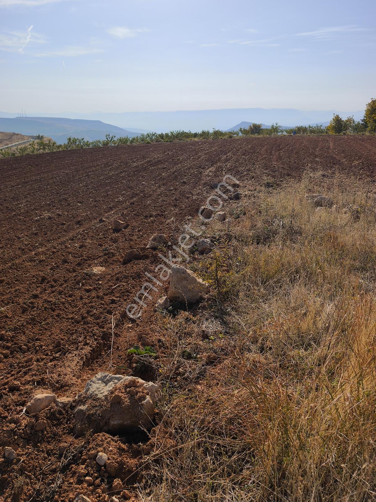 Yıldırım Emlakta Darende Günpınarda Satılık 24.764 M2 Sulu Tarla — fotoğraf 14