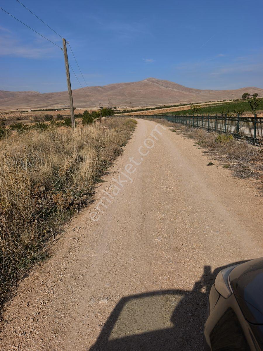 Yıldırım Emlakta Darende Günpınarda Satılık 24.764 M2 Sulu Tarla — fotoğraf 18