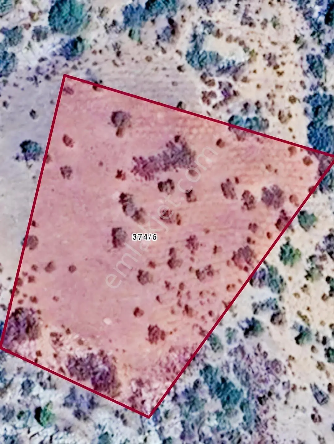 Konya Güneysınır Habiller De 4900 M2 Müstakil Tapulu Tarla — fotoğraf 3