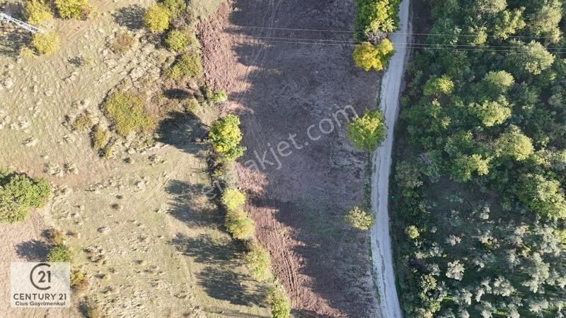 C21 Cius; Şükriye Köyünde Yola Cepheli 545 M² İmarlı Arsa — fotoğraf 3