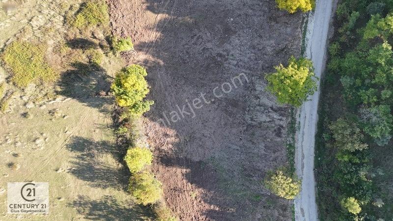 C21 Cius; Şükriye Köyünde Yola Cepheli 545 M² İmarlı Arsa — fotoğraf 4