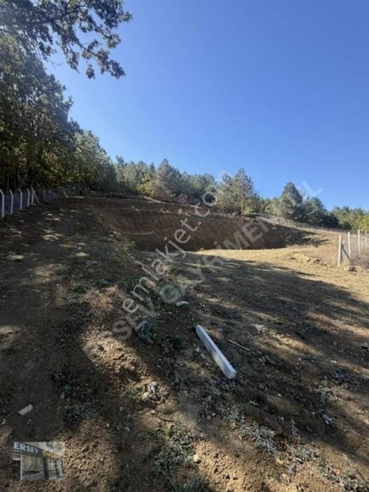 Ersev'den Bursa Eskışehır Ana Yoluna 100 Metre Mesafelı Tarla — fotoğraf 6
