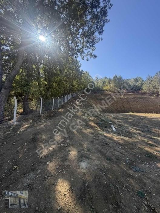 Ersev'den Bursa Eskışehır Ana Yoluna 100 Metre Mesafelı Tarla — fotoğraf 8