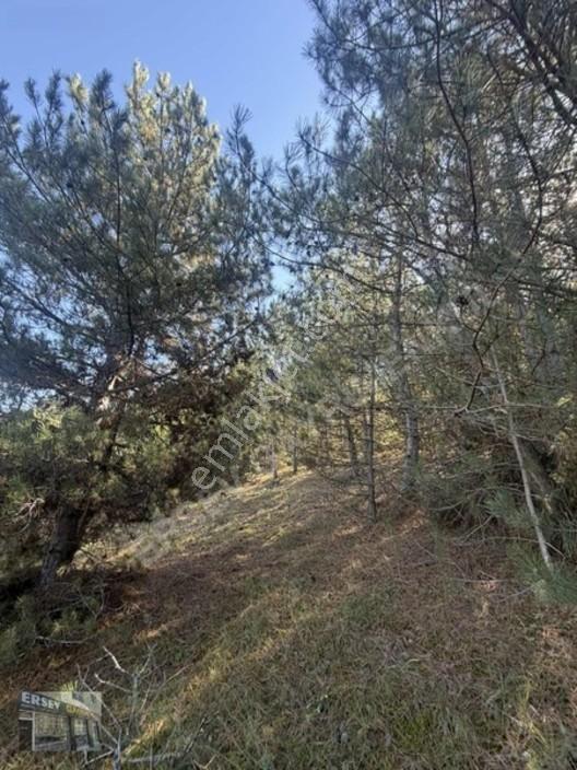 Ersev'den Bursa Eskışehır Ana Yoluna 100 Metre Mesafelı Tarla — fotoğraf 11
