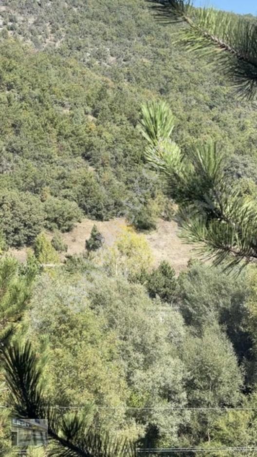 Ersev'den Bursa Eskışehır Ana Yoluna 100 Metre Mesafelı Tarla — fotoğraf 14