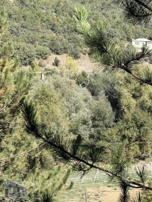 Ersev'den Bursa Eskışehır Ana Yoluna 100 Metre Mesafelı Tarla — fotoğraf 18