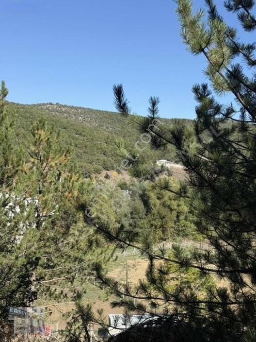 Ersev'den Bursa Eskışehır Ana Yoluna 100 Metre Mesafelı Tarla — fotoğraf 19