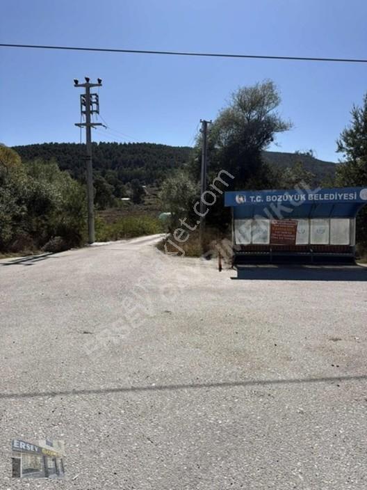 Ersev'den Bursa Eskışehır Ana Yoluna 100 Metre Mesafelı Tarla — fotoğraf 30