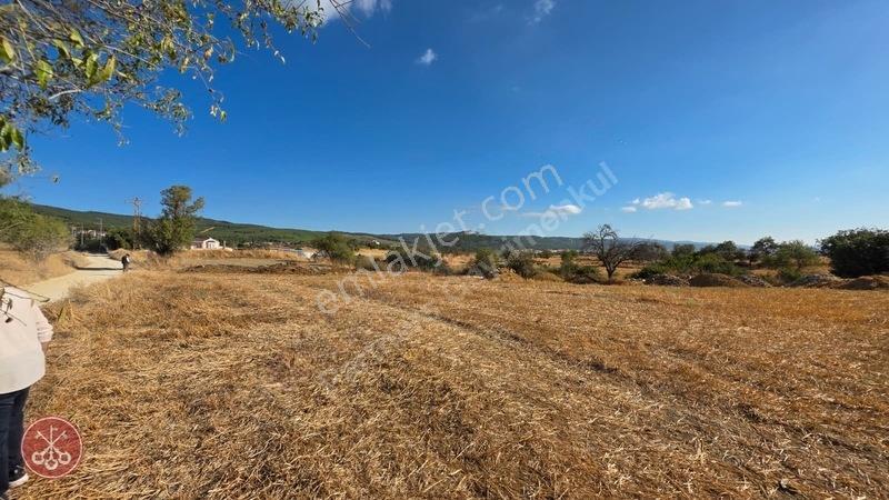 Saros Körfezi Manzaralı Adilhan Köyünde 2.680 M² Satılık Tarla — fotoğraf 11