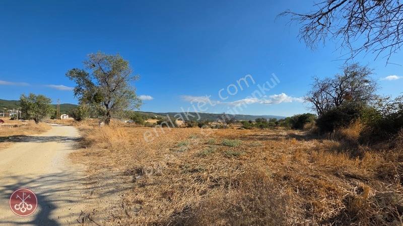 Saros Körfezi Manzaralı Adilhan Köyünde 2.680 M² Satılık Tarla — fotoğraf 15
