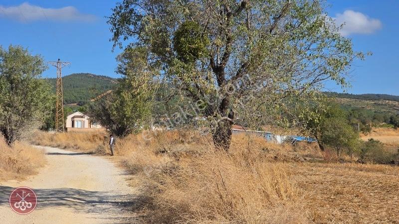Saros Körfezi Manzaralı Adilhan Köyünde 2.680 M² Satılık Tarla — fotoğraf 23