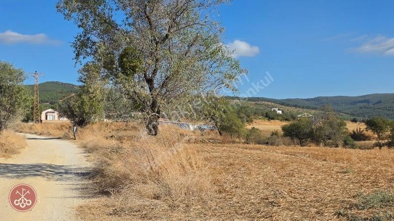 Saros Körfezi Manzaralı Adilhan Köyünde 2.680 M² Satılık Tarla — fotoğraf 25