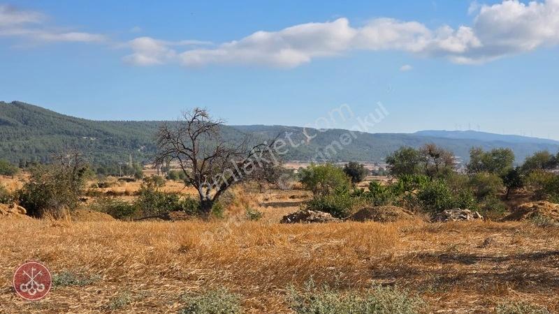 Saros Körfezi Manzaralı Adilhan Köyünde 2.680 M² Satılık Tarla — fotoğraf 27