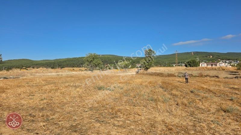 Saros Körfezi Manzaralı Adilhan Köyünde 2.680 M² Satılık Tarla — fotoğraf 32