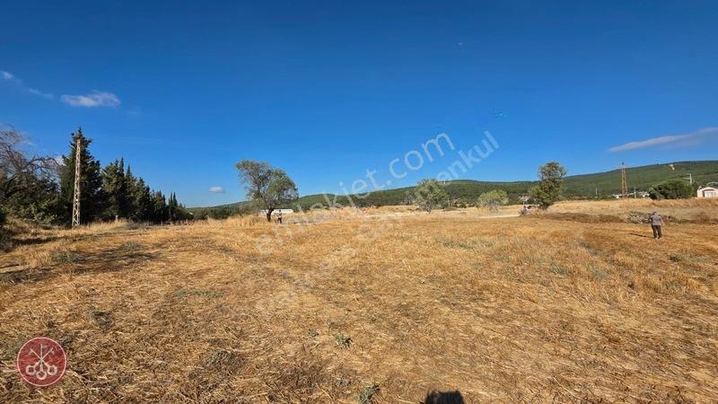 Saros Körfezi Manzaralı Adilhan Köyünde 2.680 M² Satılık Tarla — fotoğraf 33