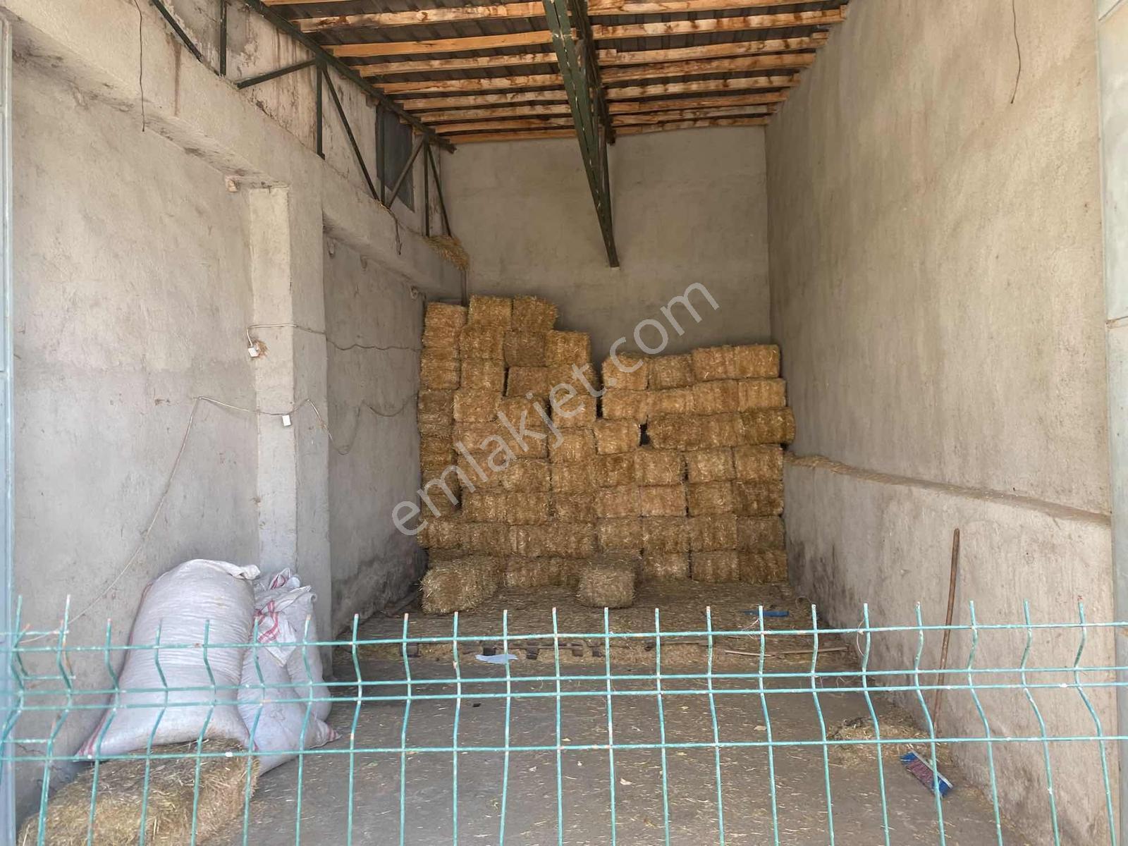 Bozoklu Emlaktan Akören De Satılık Çiftlik — fotoğraf 9