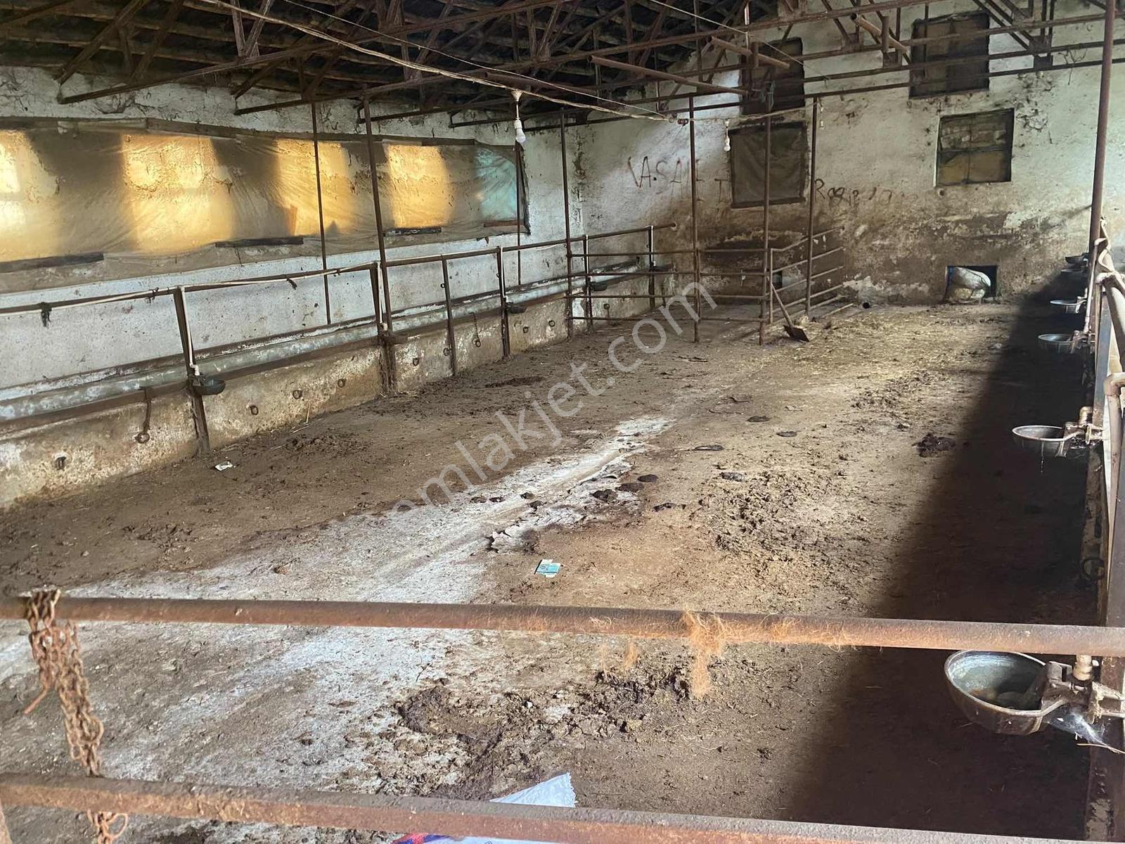 Bozoklu Emlaktan Akören De Satılık Çiftlik — fotoğraf 13