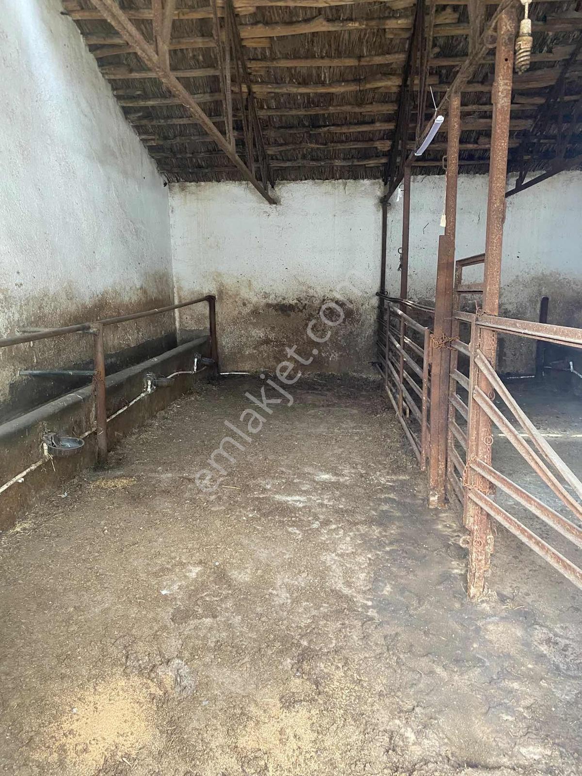 Bozoklu Emlaktan Akören De Satılık Çiftlik — fotoğraf 16