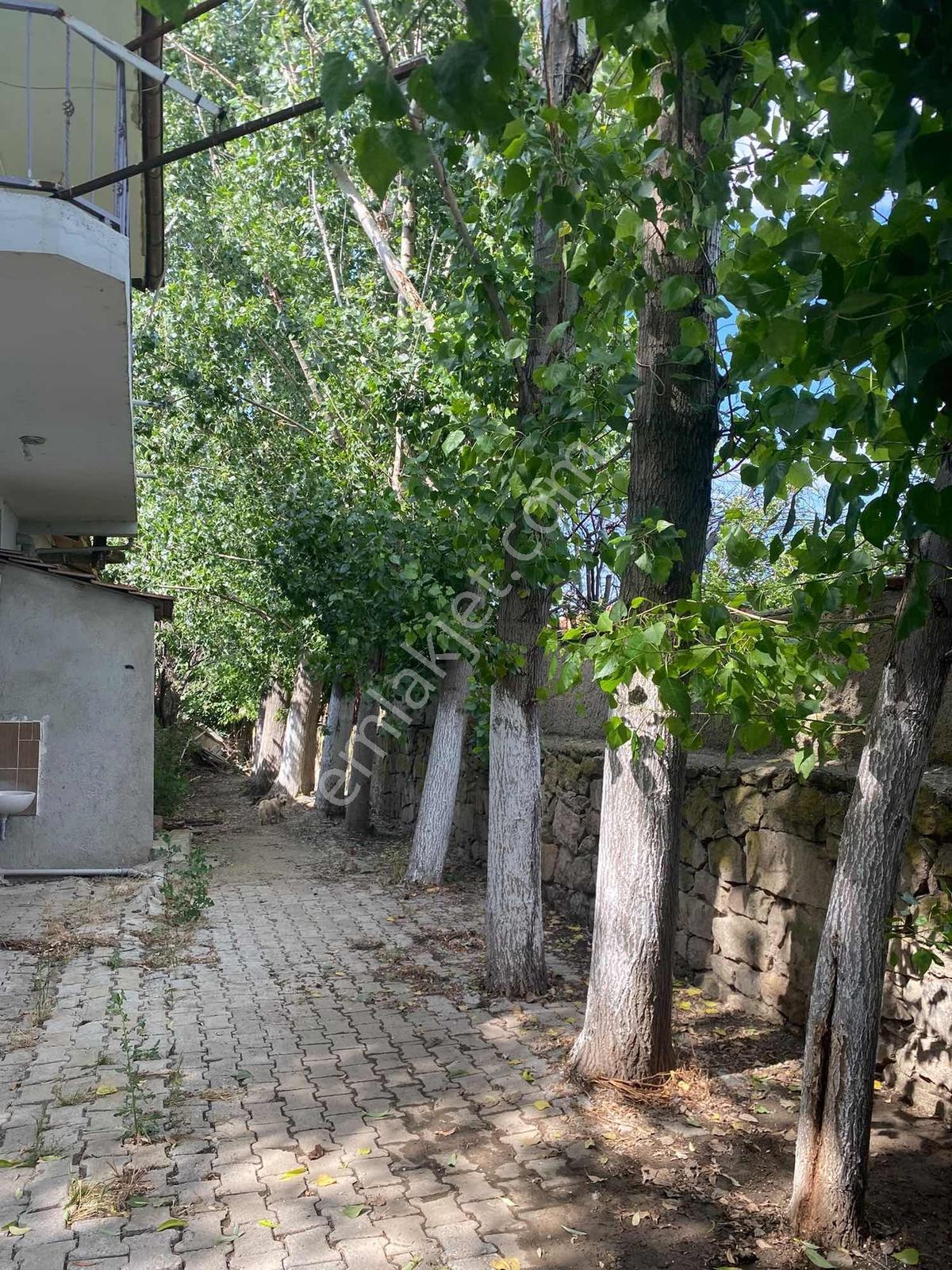 Bozoklu Emlaktan Akören De Satılık Çiftlik — fotoğraf 18