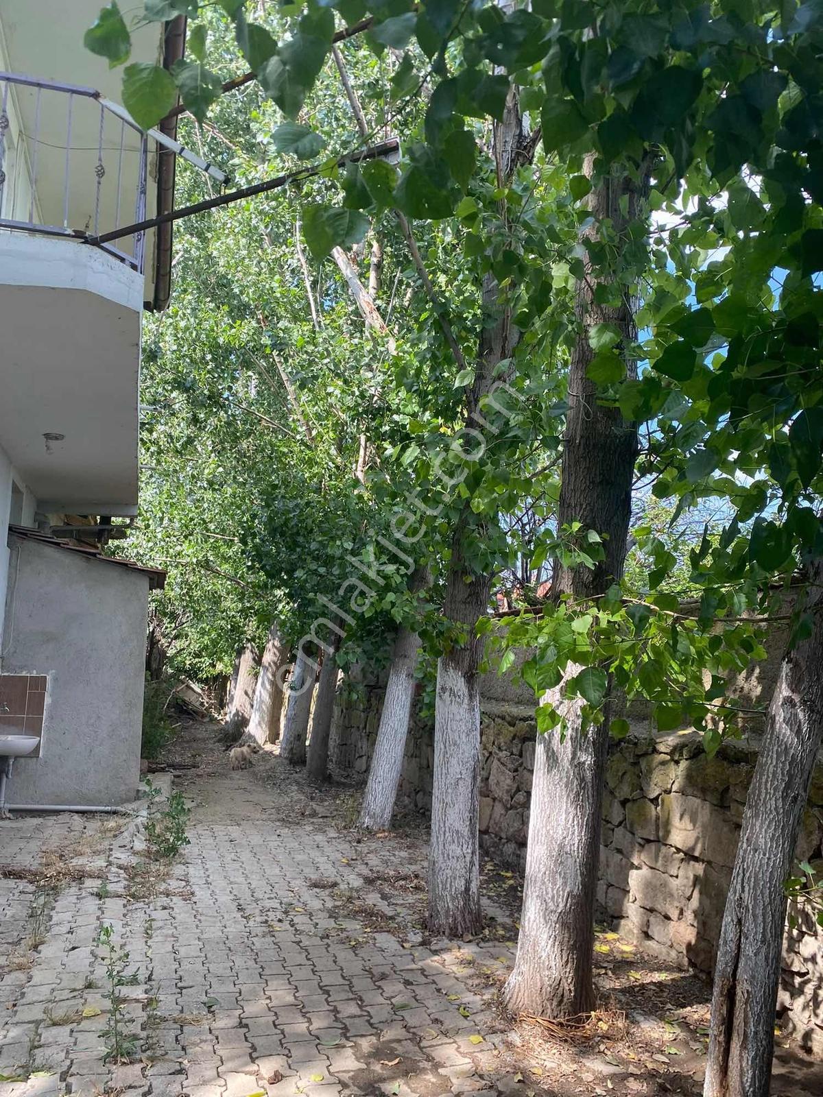 Bozoklu Emlaktan Akören De Satılık Çiftlik — fotoğraf 20