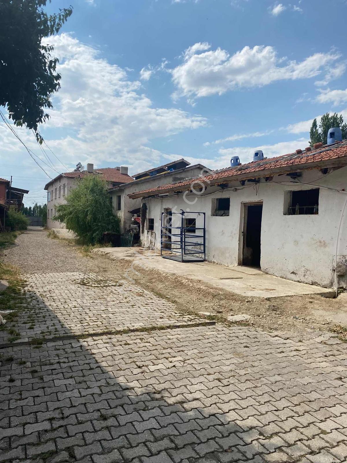 Bozoklu Emlaktan Akören De Satılık Çiftlik — fotoğraf 21