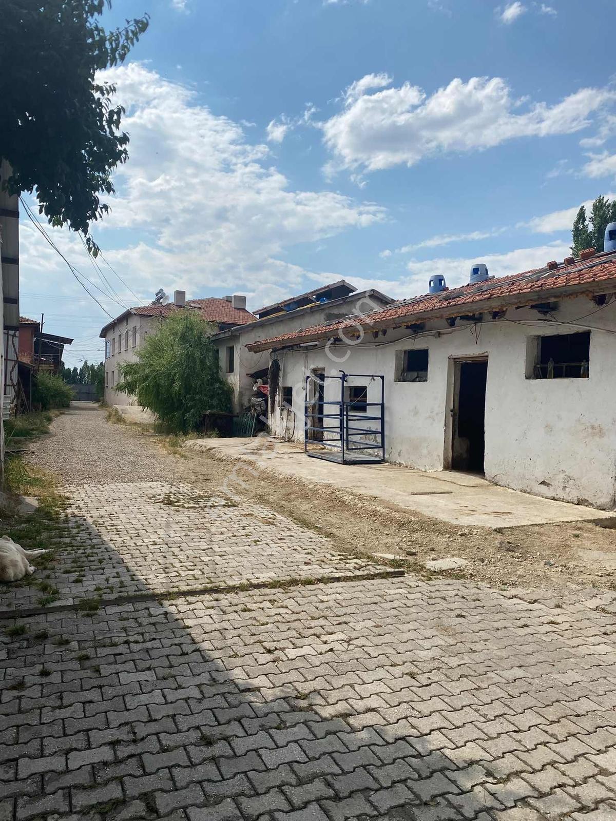 Bozoklu Emlaktan Akören De Satılık Çiftlik — fotoğraf 22